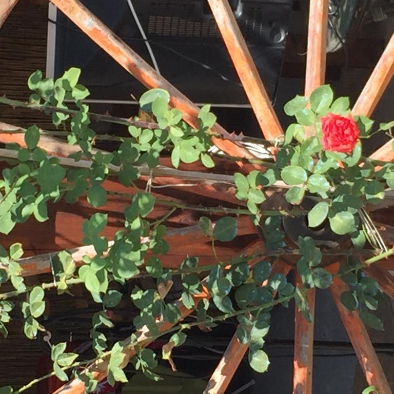 노치아노 Casa Gavenniae B&B 외부 사진
